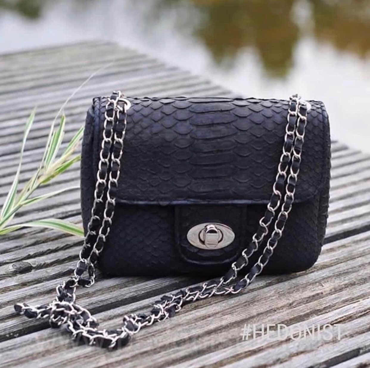 Genuine Python Skin Mini Chain Crossbody Bag — Black