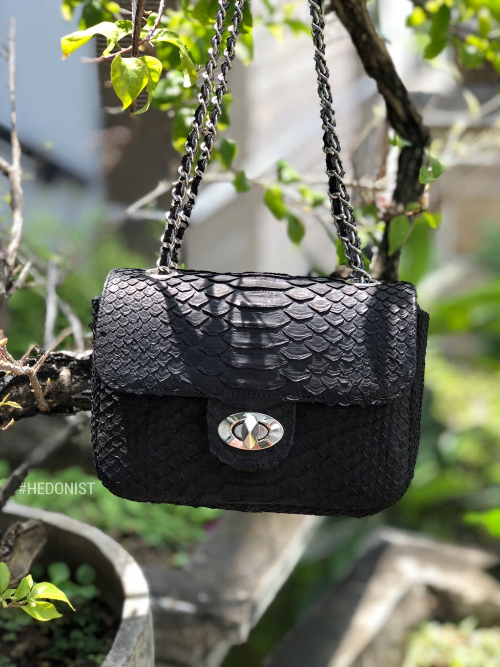 Genuine Python Skin Mini Chain Crossbody Bag — Black