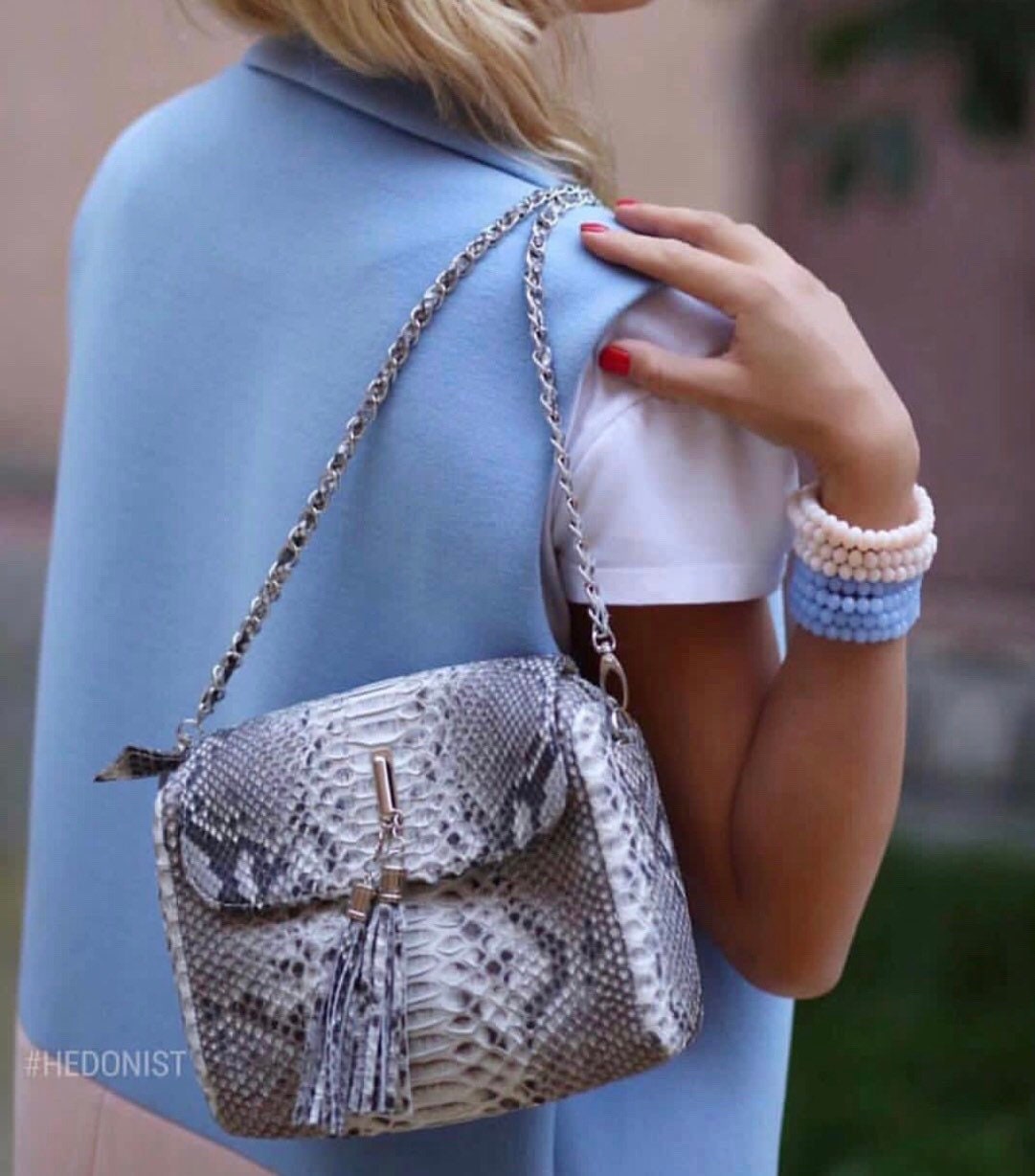 Genuine Python Skin Chain Tassel Crossbody Bag — Gray