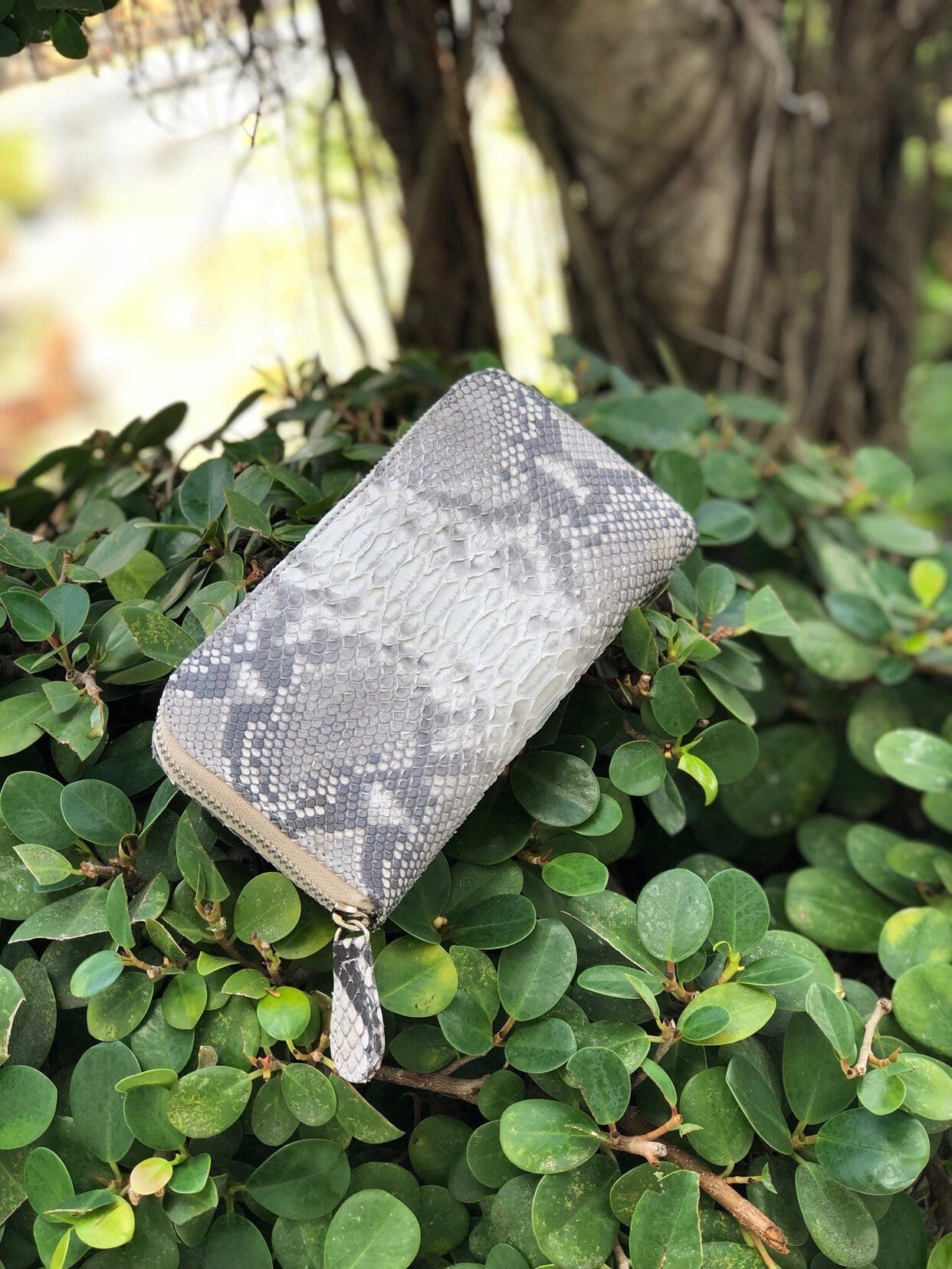 Genuine Python Skin Wallet — Red