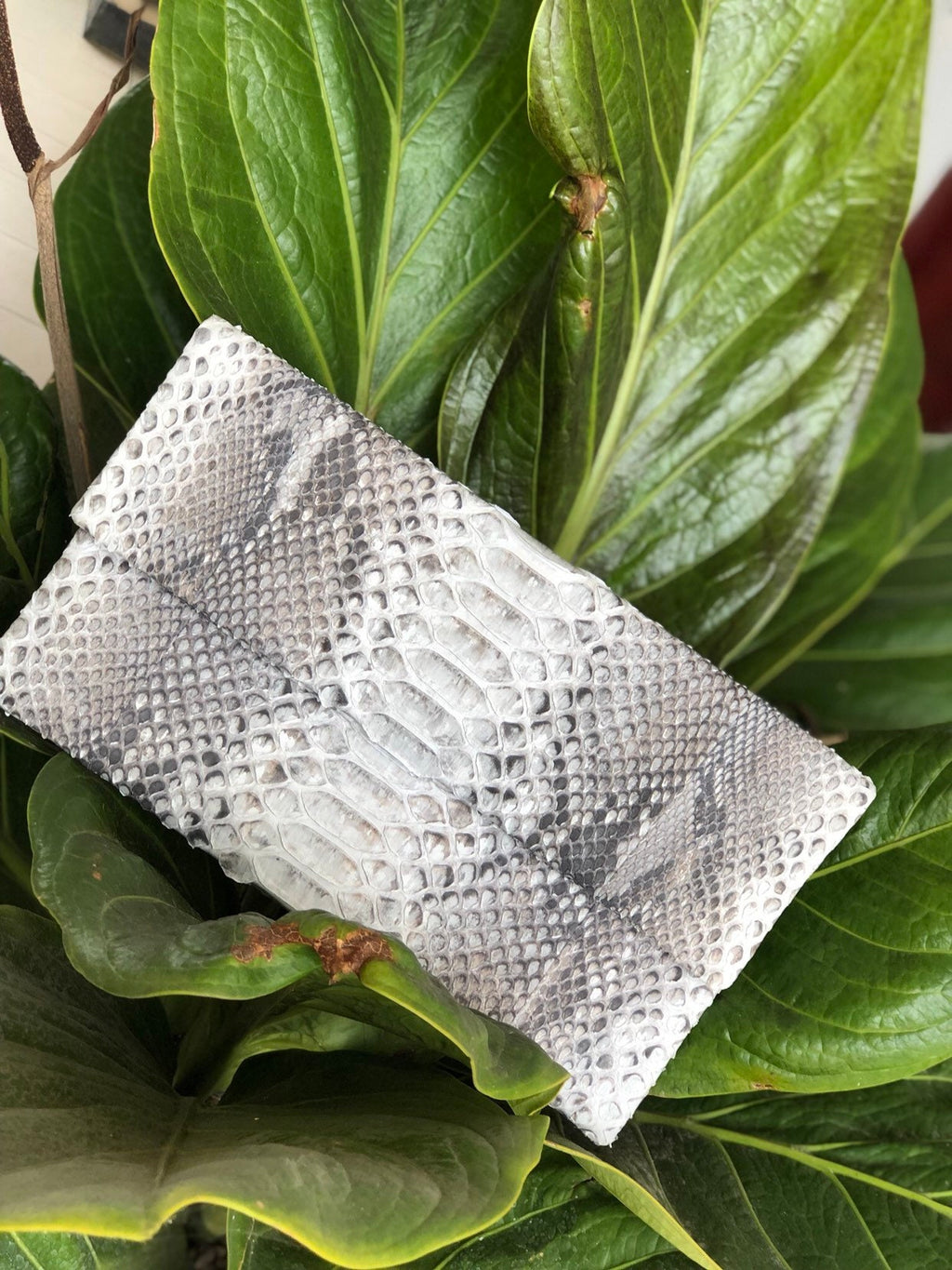 Clutch Genuine Python Skin  Grey Clutch Uncolored