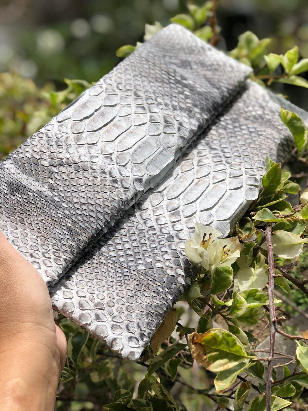 Clutch Genuine Python Skin  Grey Clutch Uncolored