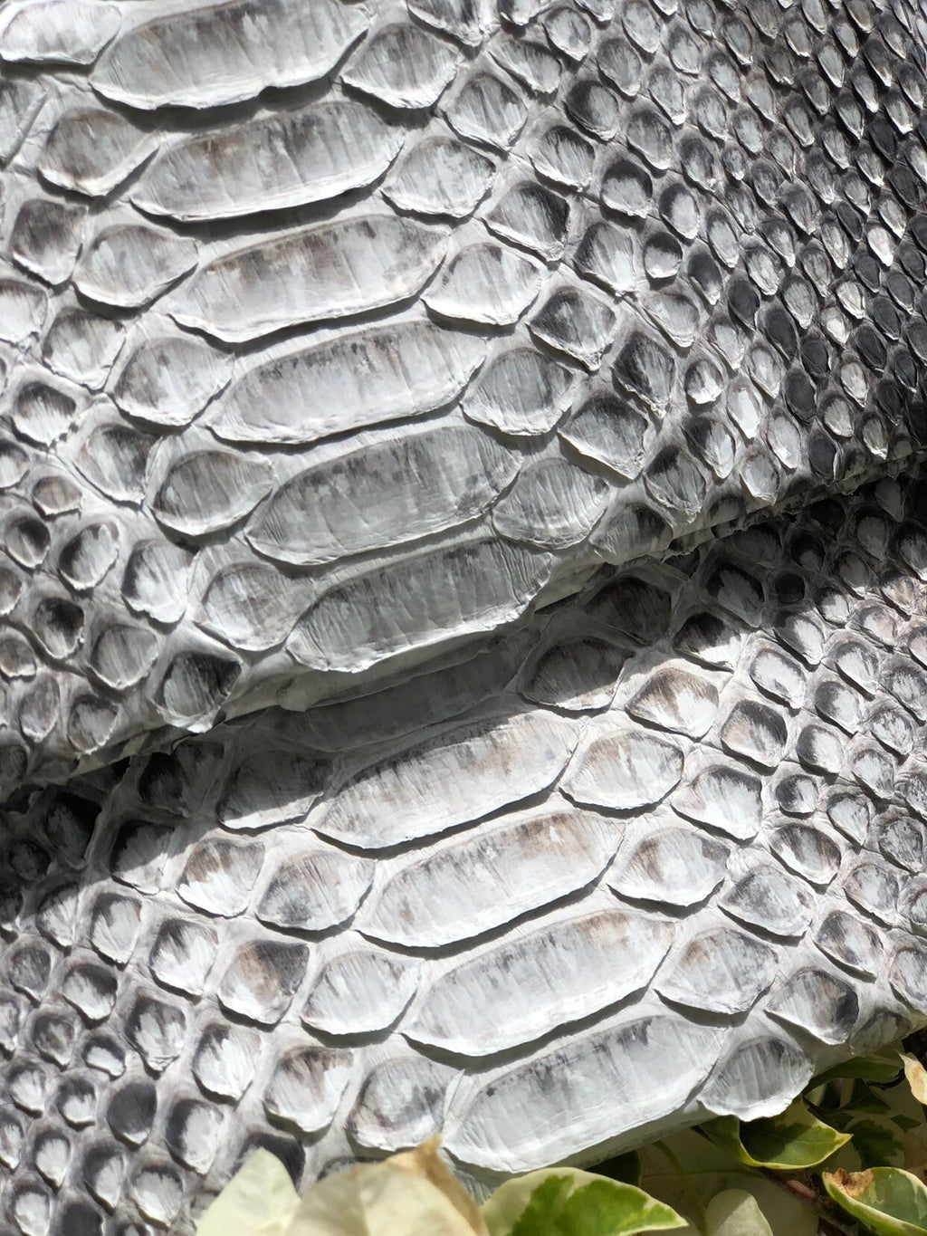 Genuine Python Skin Envelope Clutch — Grey Natural