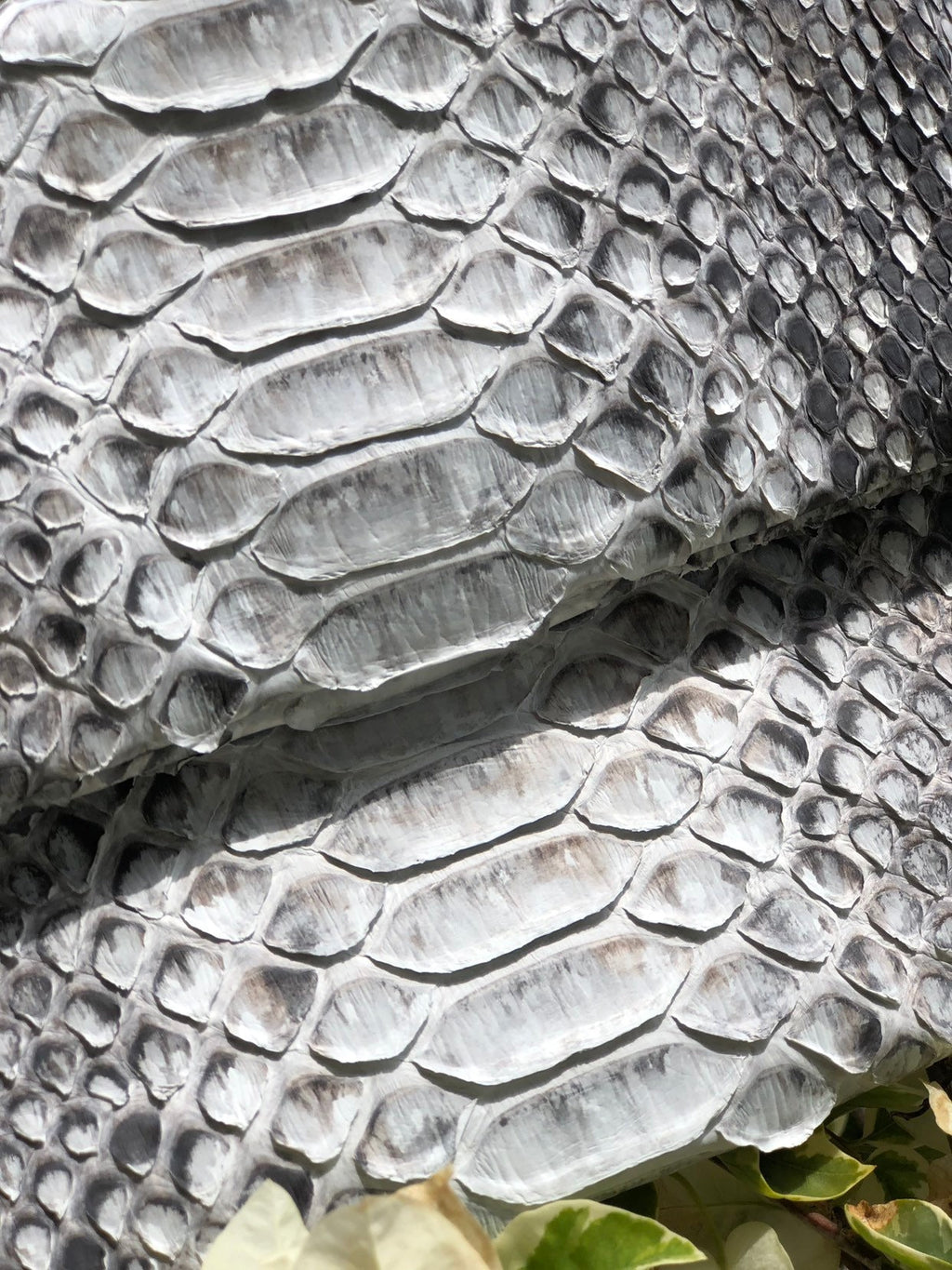 Clutch Genuine Python Skin  Grey Clutch Uncolored