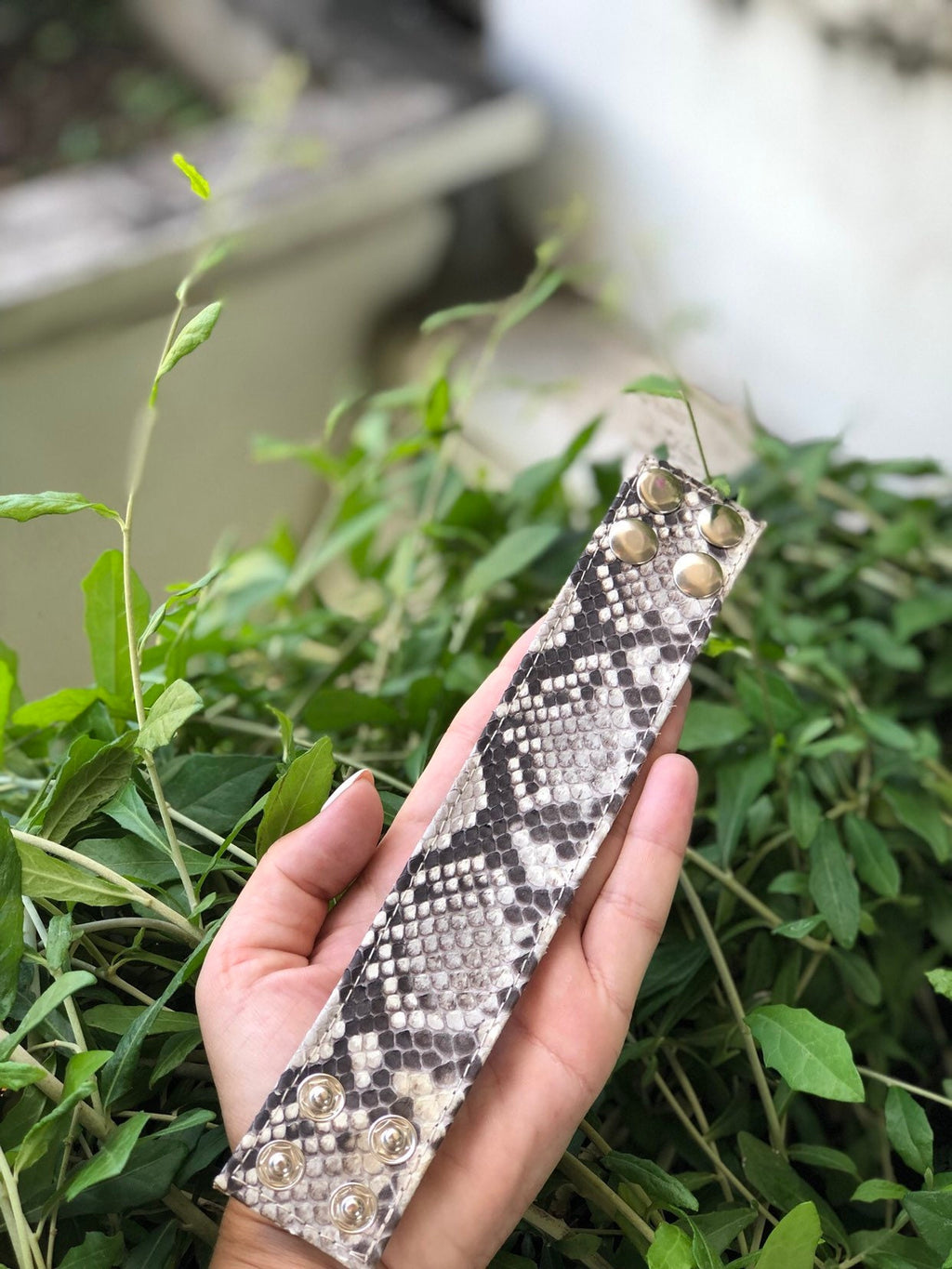 Genuine Python Skin Bracelet — Flat
