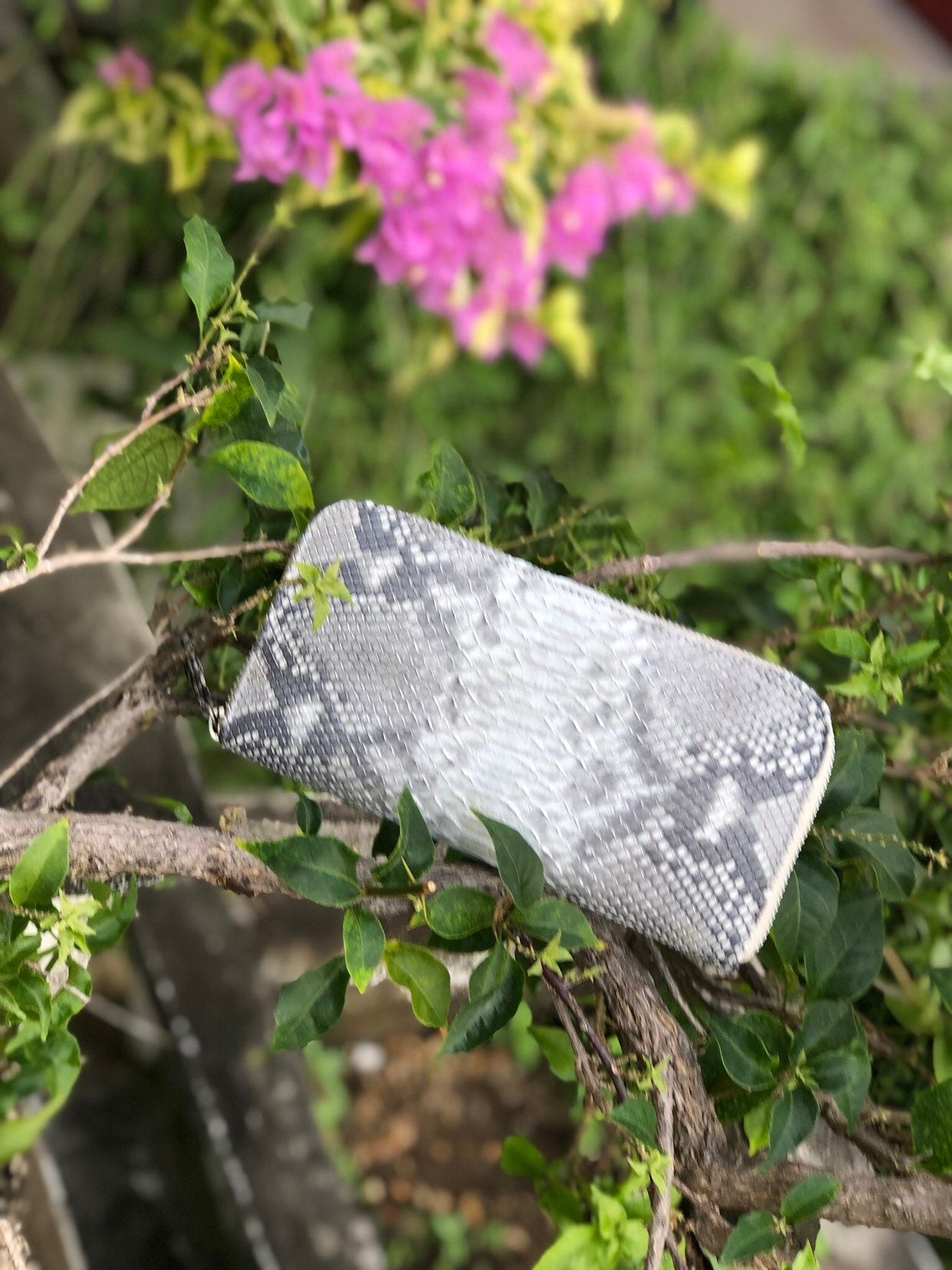 Genuine Python Skin Wallet — Red