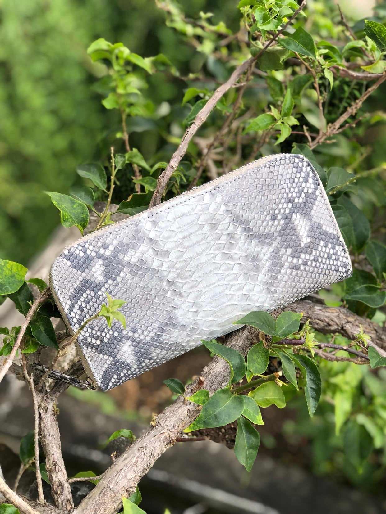 Genuine Python Skin Wallet — Red