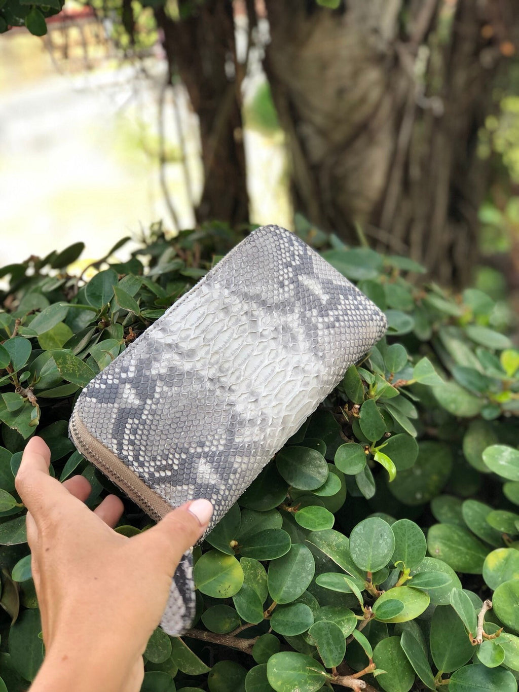 Genuine Python Skin Wallet Organizer — Gray