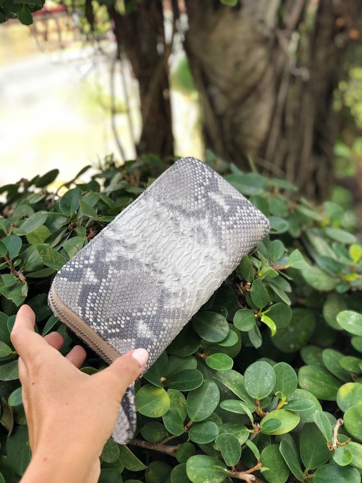 Genuine Python Skin Wallet Organizer — Gray