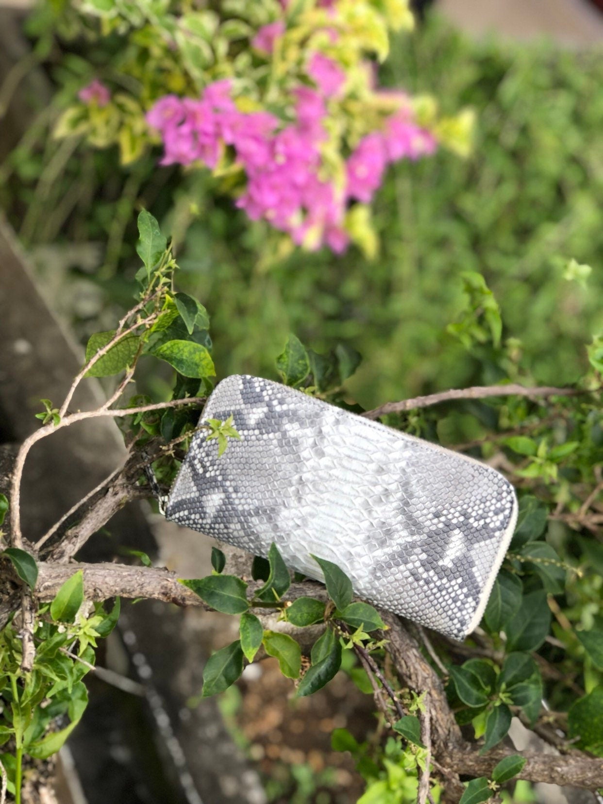 Genuine Python Skin Wallet Organizer — Gray