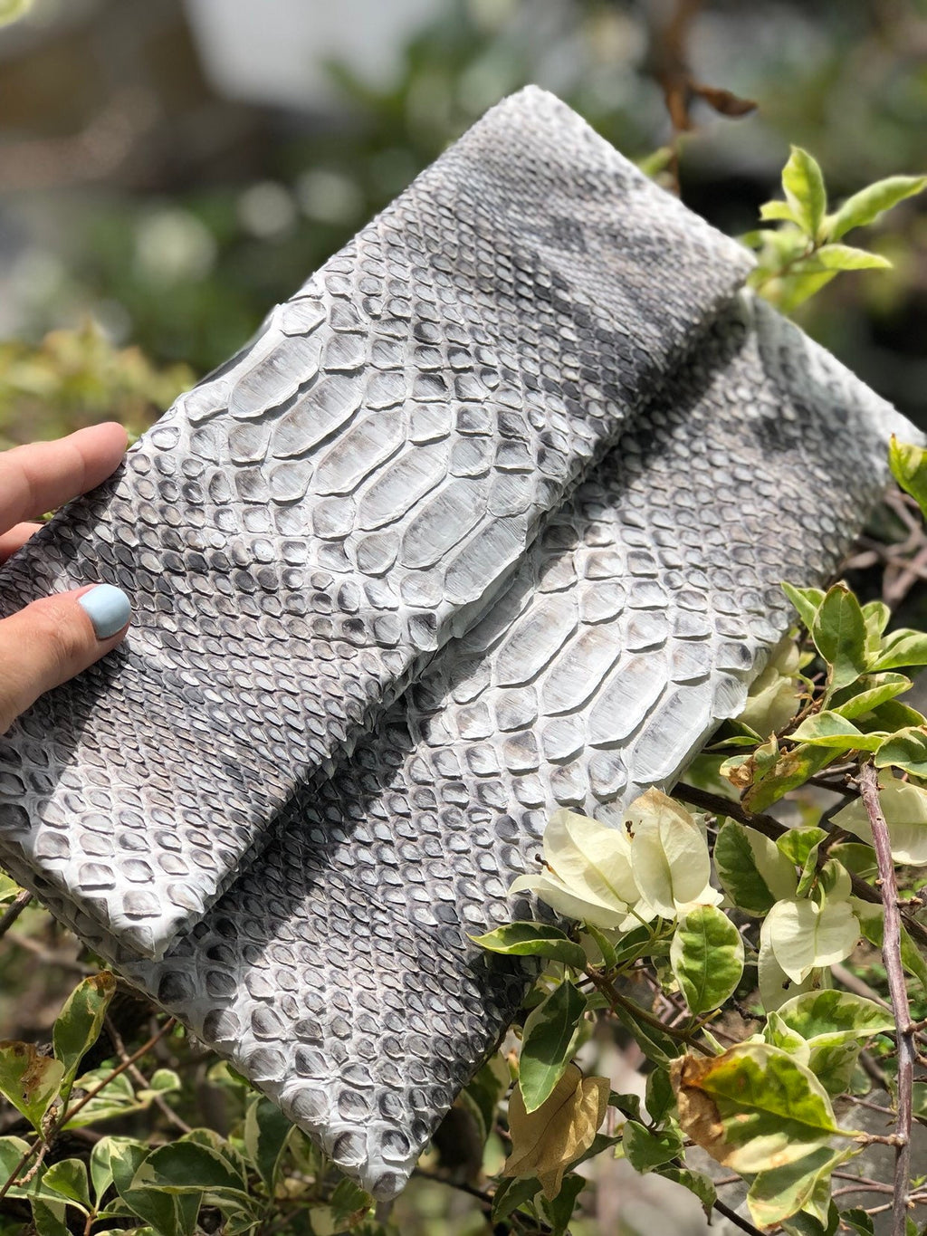 Clutch Genuine Python Skin  Grey Clutch Uncolored
