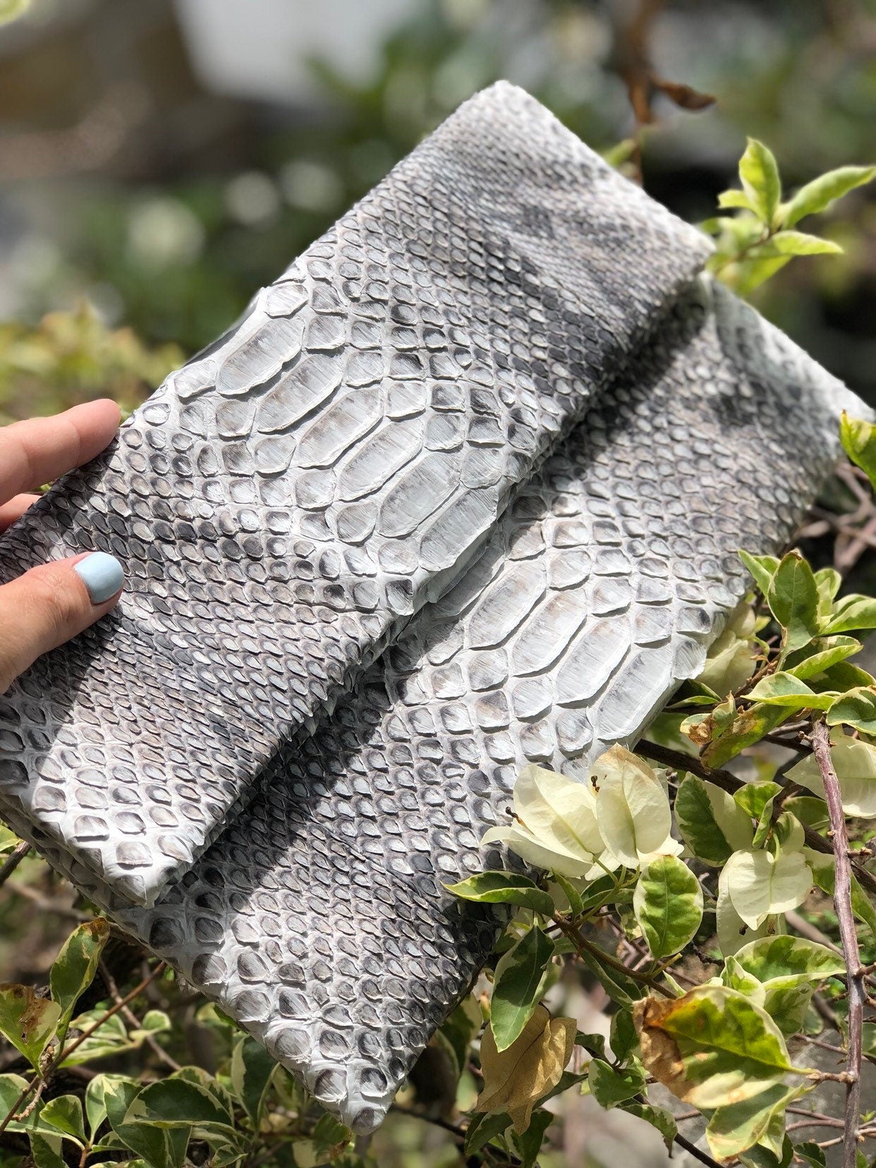 Clutch Genuine Python Skin  Grey Clutch Uncolored