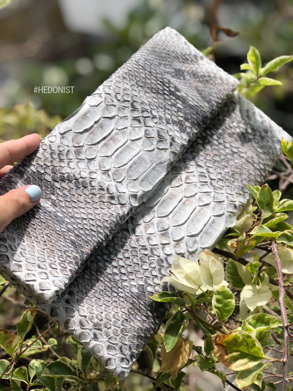 Genuine Python Skin Envelope Clutch — Grey Natural