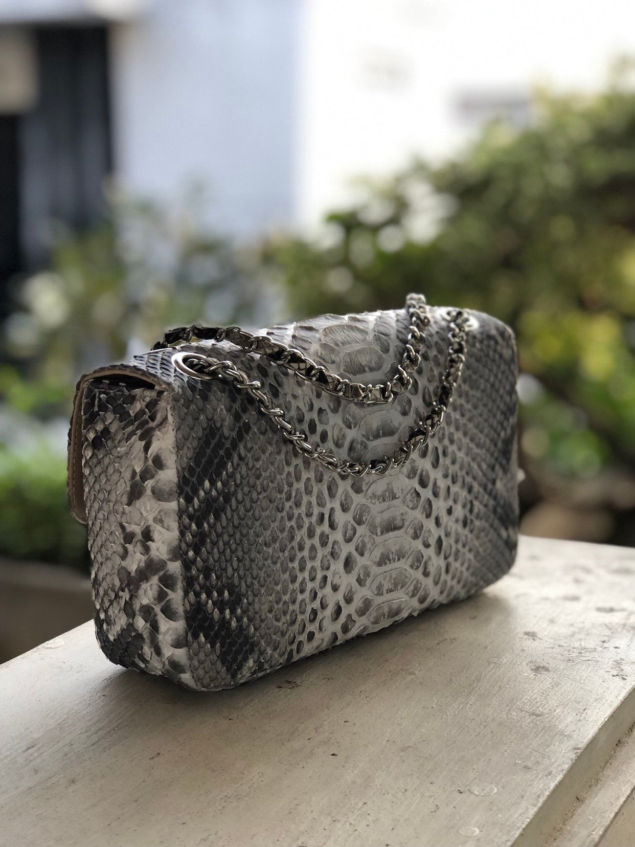 Genuine Python Skin Crossbody Natural Scale Gray Bag — Red