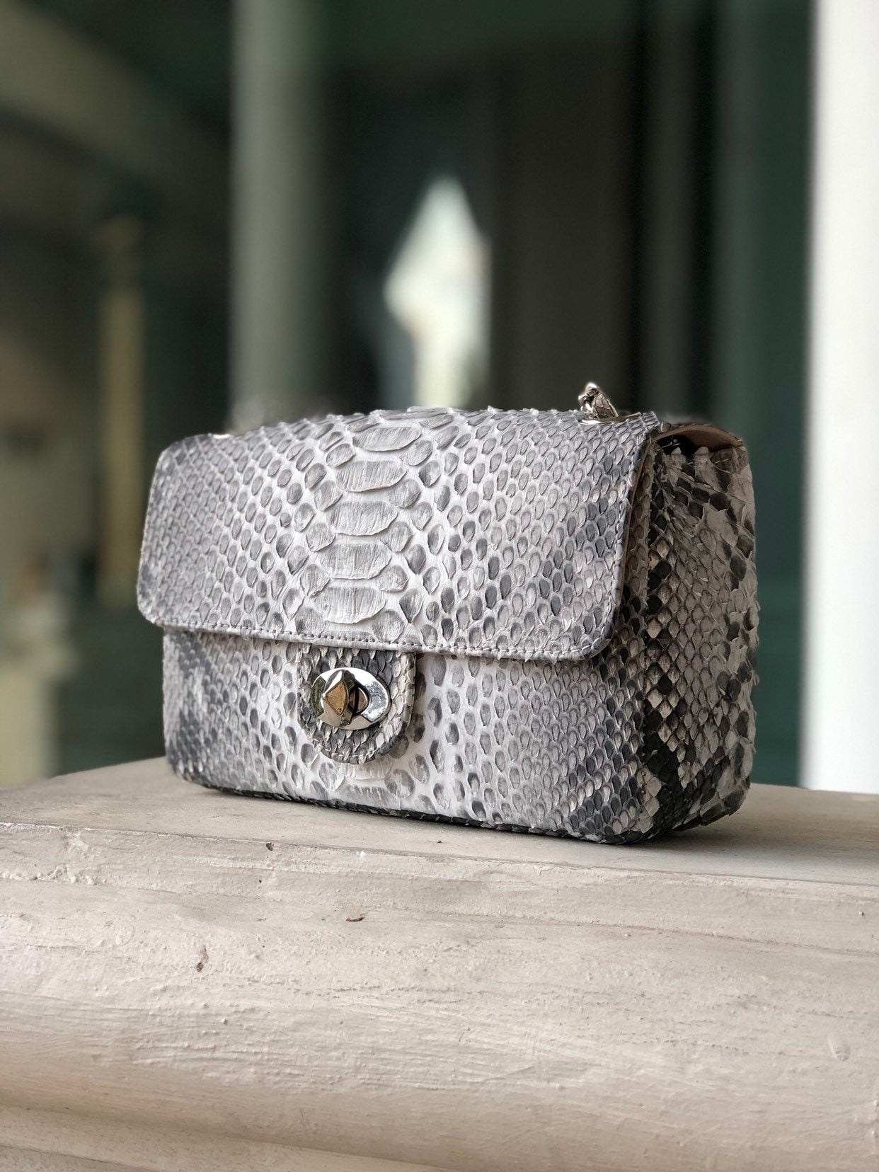 Genuine Python Skin Crossbody Natural Scale Gray Bag — Red