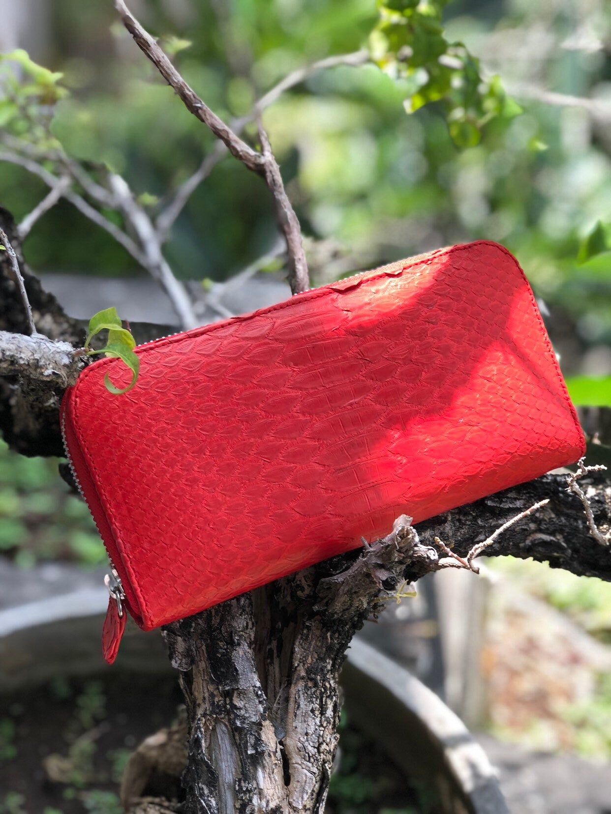 Red Genuine Python Skin Feng Shui Unisex Wallet