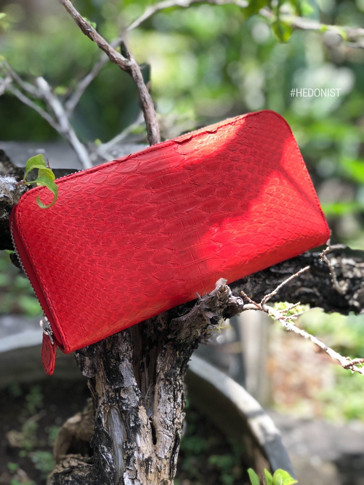 Genuine Python Skin Feng Shui Wallet — Red