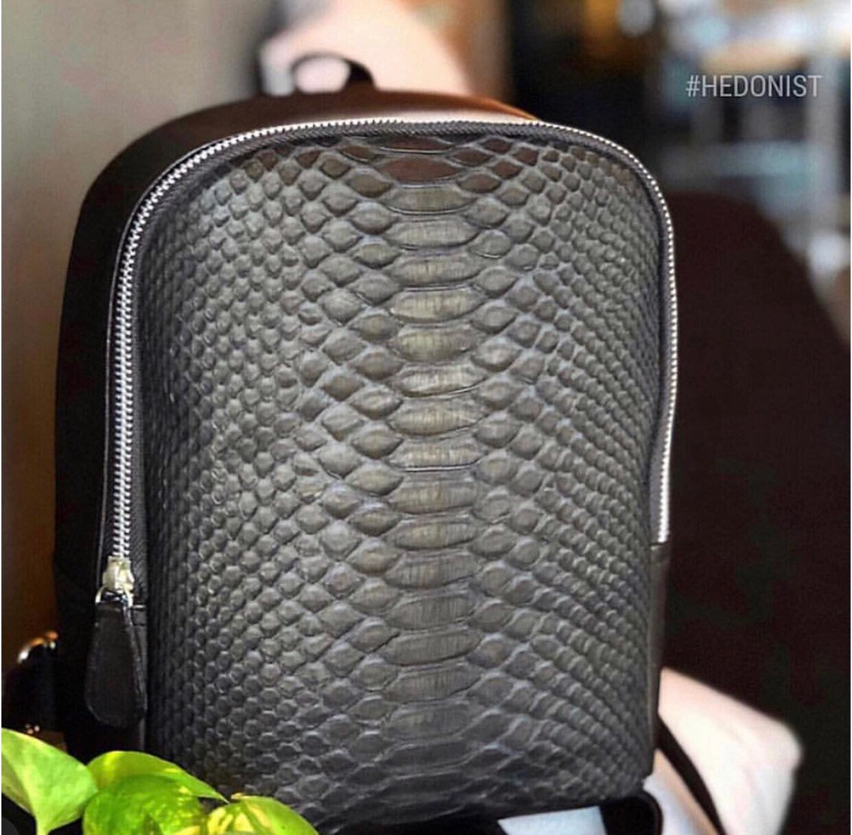 Genuine Python Skin Leather Backpack — Black