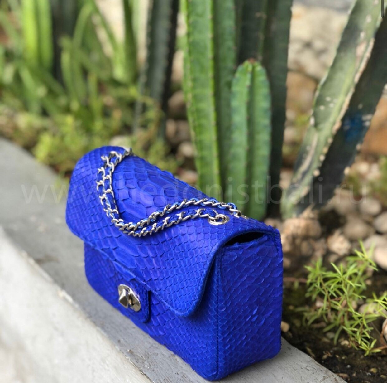 Genuine Python Skin Chain Crossbody Bag — Ultramarine Blue