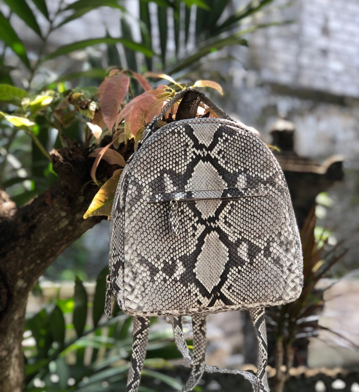 Women Python Skin Backpack | Genuine Python Skin Backpack | Exotic Leather Bags | Summer Snakeprint Backpack | Women Sport Shick Backpack