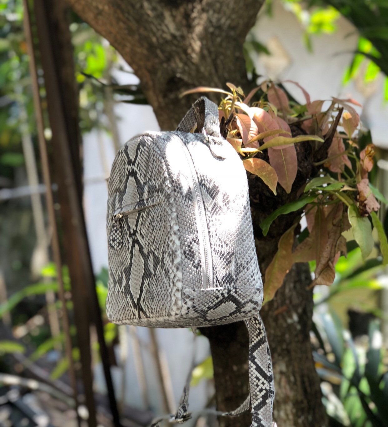 Women Python Skin Backpack | Genuine Python Skin Backpack | Exotic Leather Bags | Summer Snakeprint Backpack | Women Sport Shick Backpack