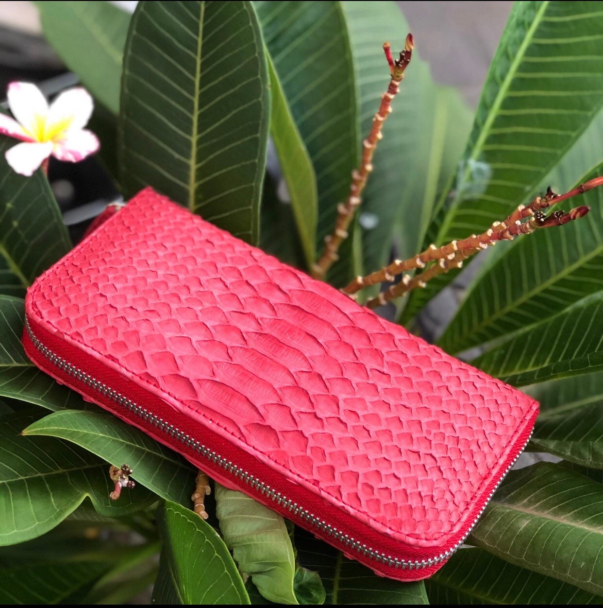 Genuine Python Skin Feng Shui Wallet — Red