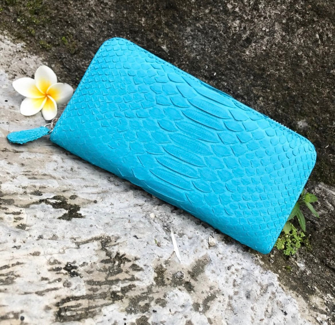Turquise Genuine Python Unisex Wallet — Blue
