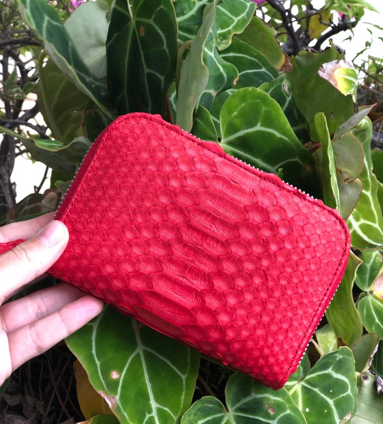 Genuine python skin red wallet