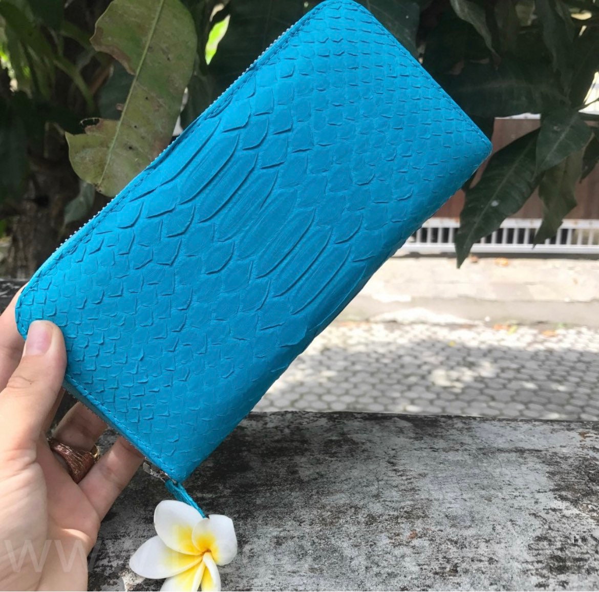 Turquise Genuine Python Unisex Wallet — Blue