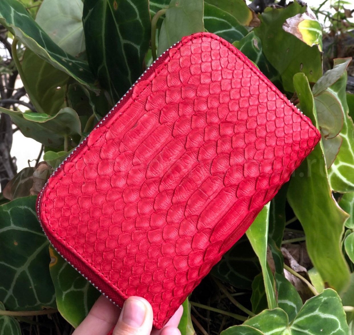 Genuine python skin red wallet