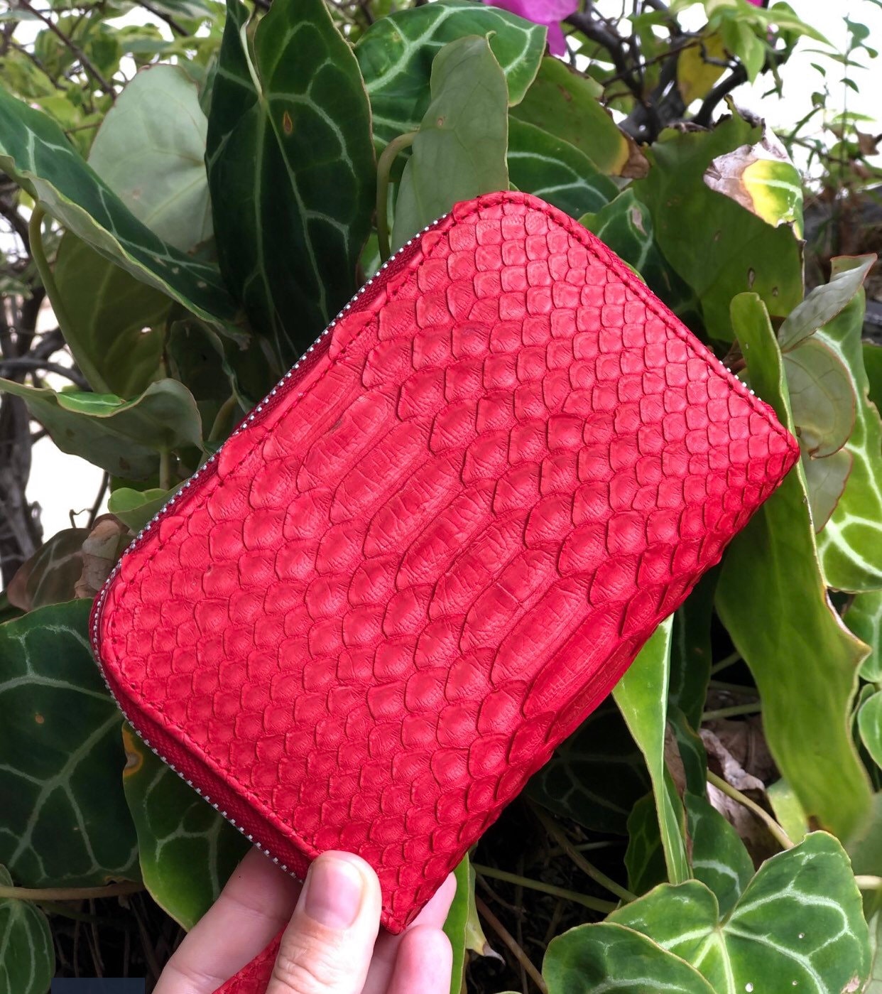 Genuine python skin red wallet
