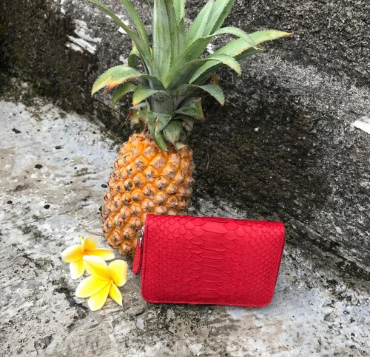 Genuine Python Skin Wallet — Red