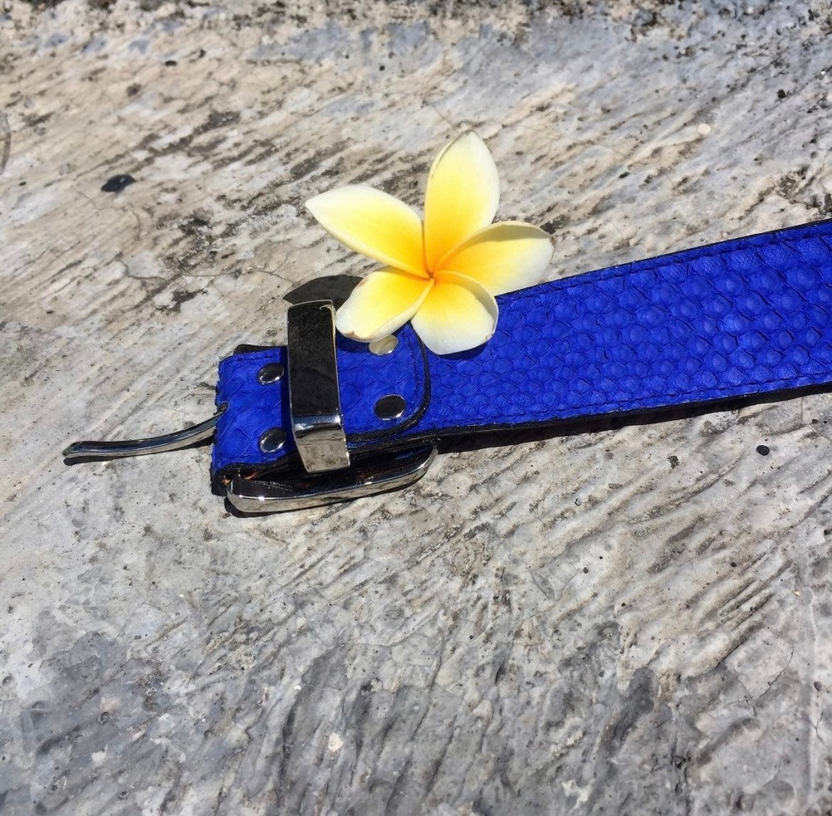 Genuine Python Skin Belt — Electric Blue