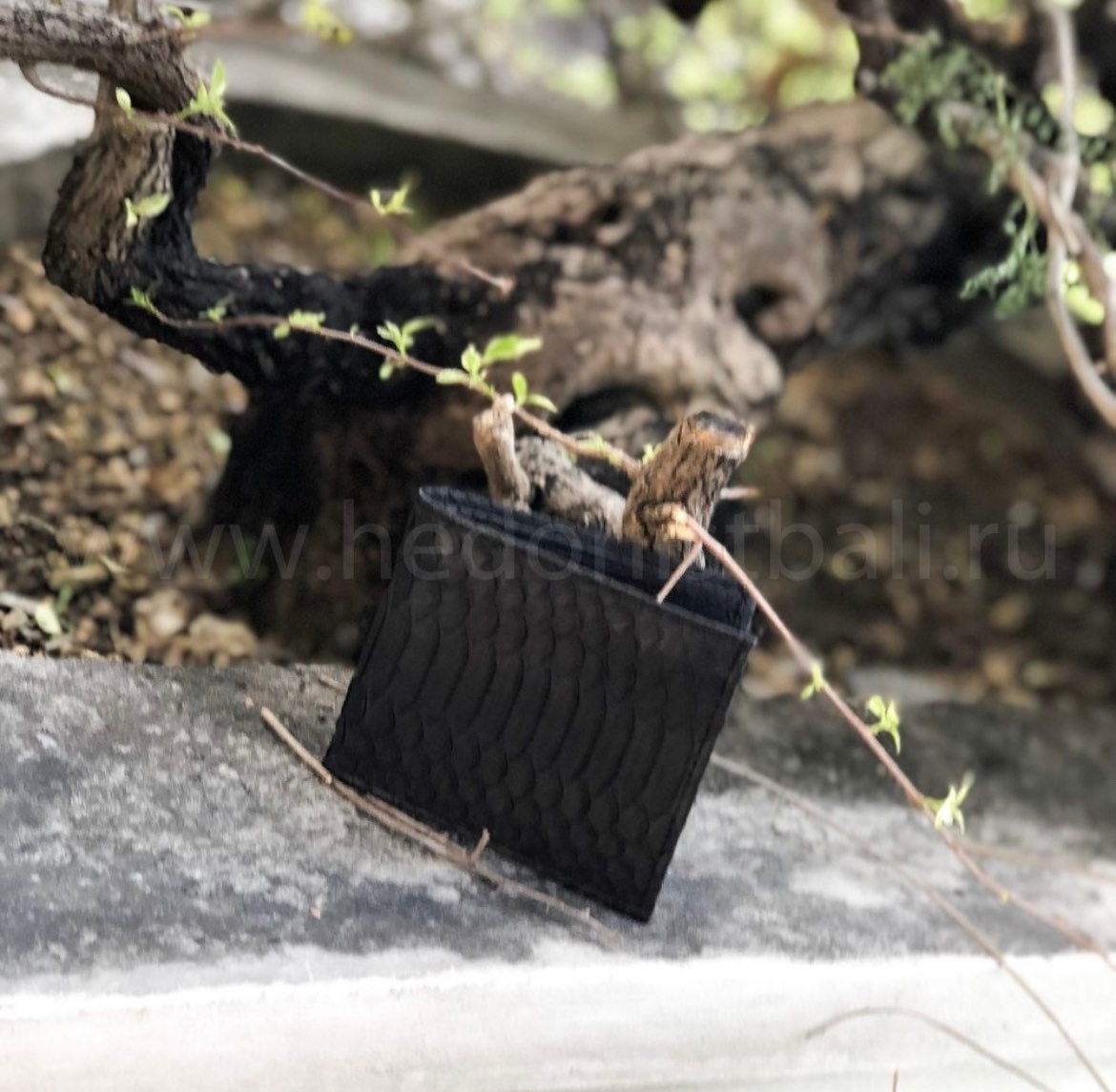 Genuine Python Skin Men Flat Wallet — Black
