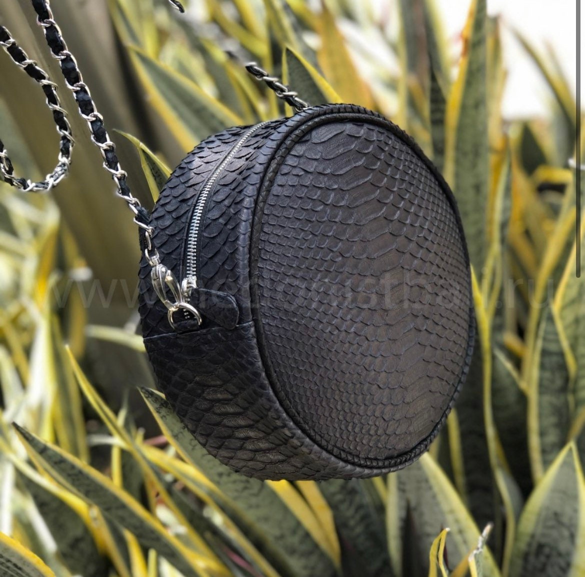 Genuine Python Skin Round Chain Bag — Black