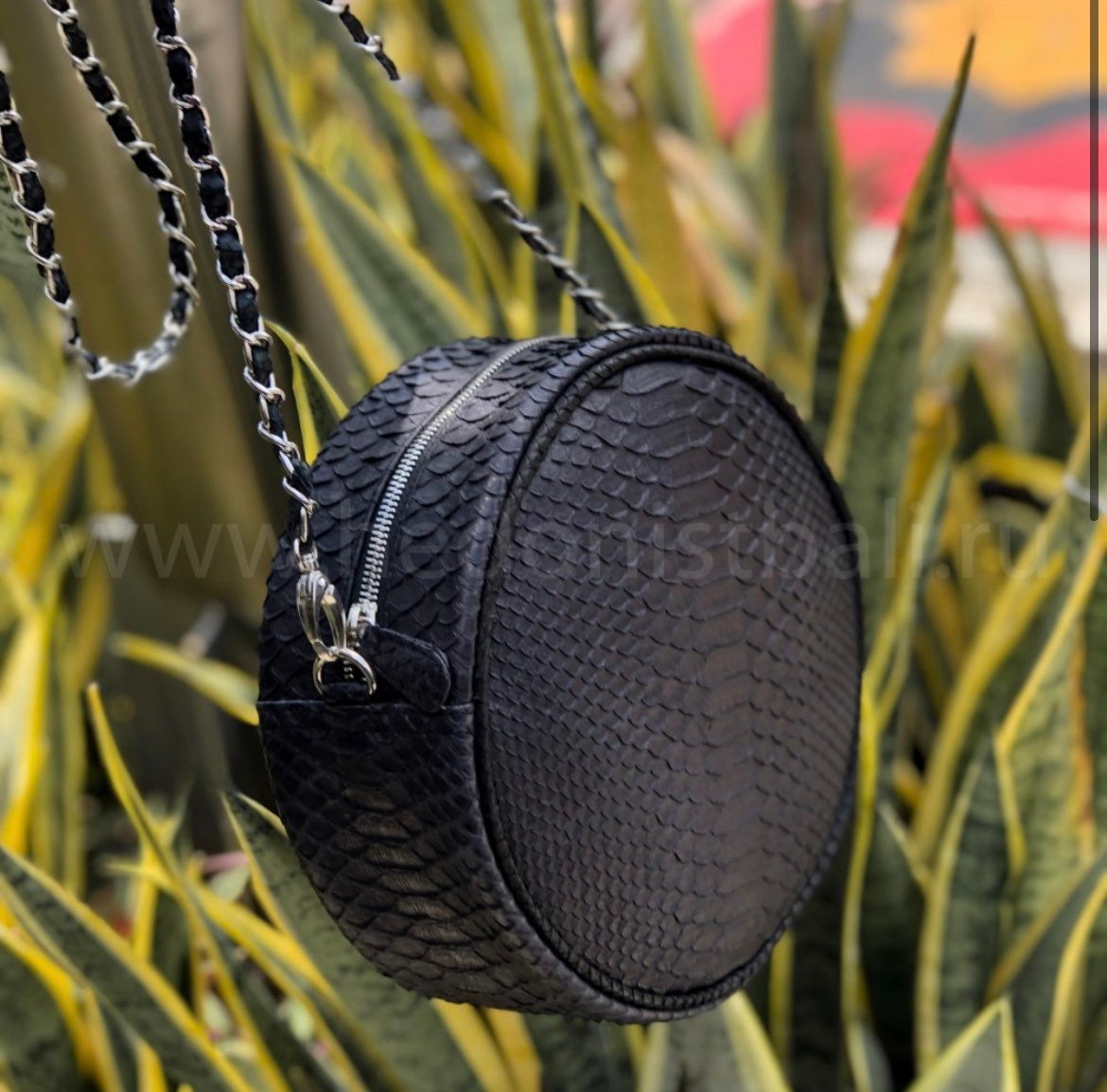 Genuine Python Skin Round Chain Bag — Black