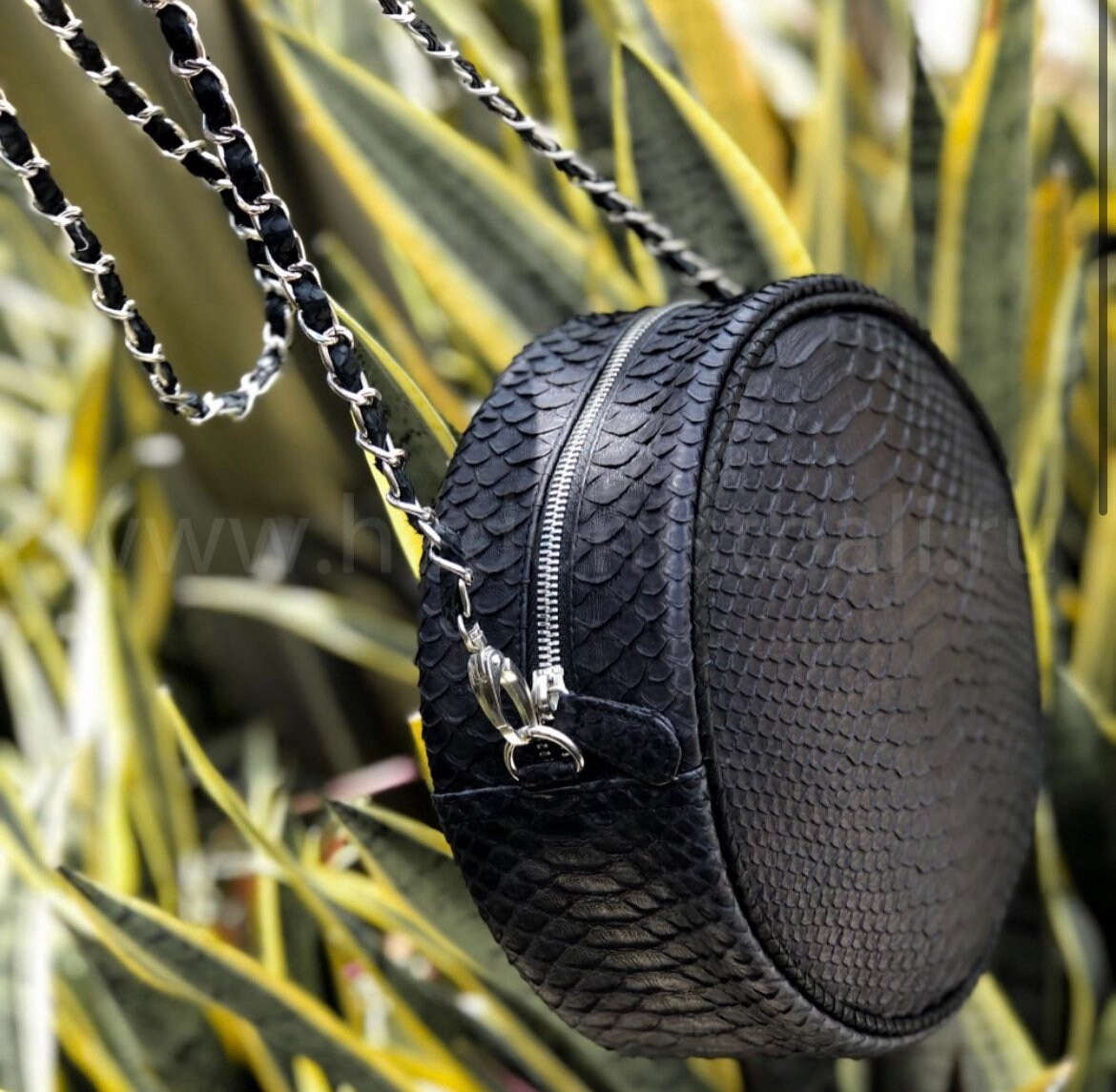 Genuine Python Skin Round Chain Bag — Black