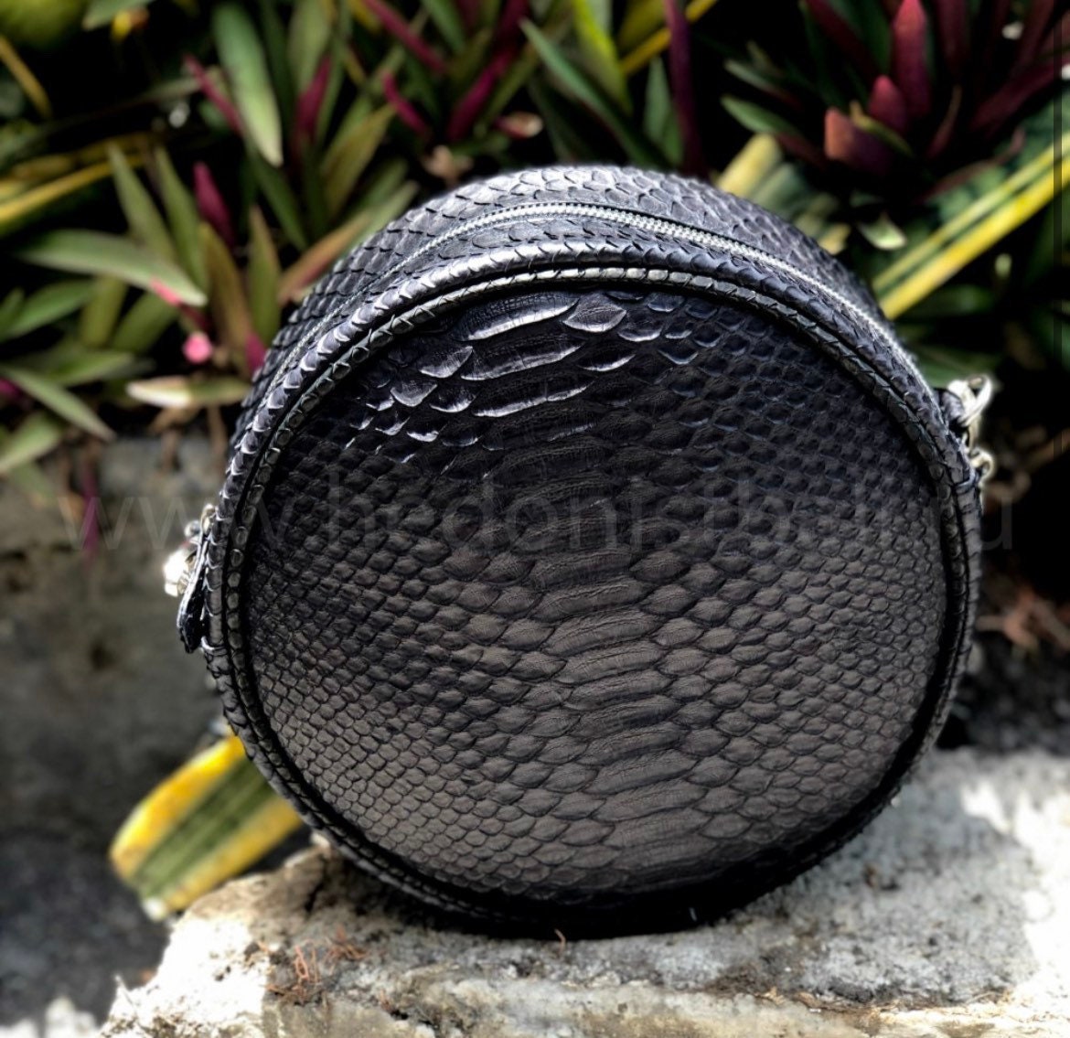 Genuine Python Skin Round Chain Bag — Black