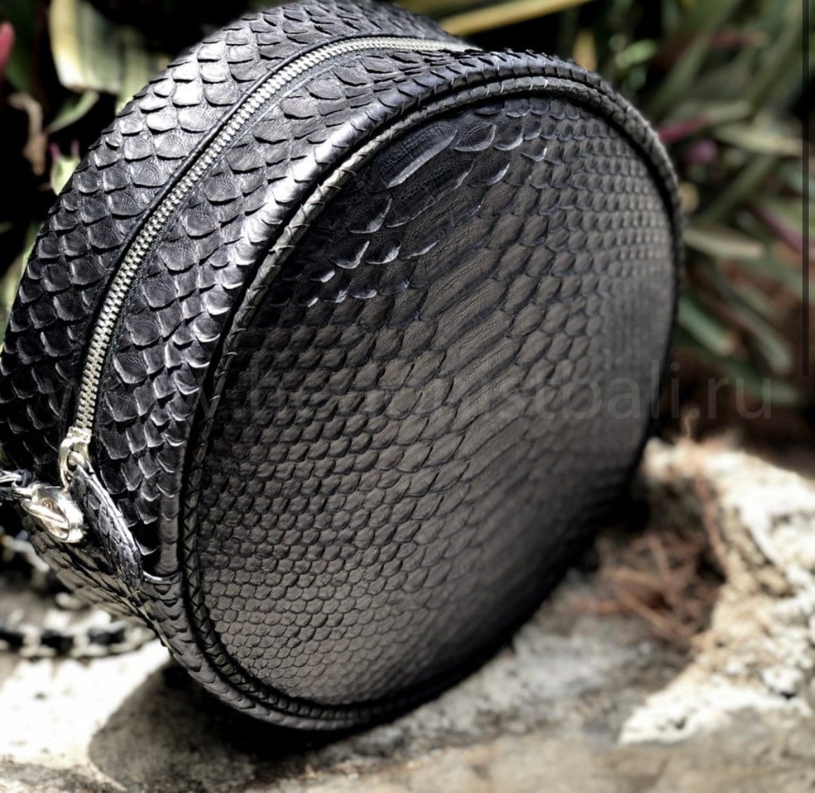 Genuine Python Skin Round Chain Bag — Black