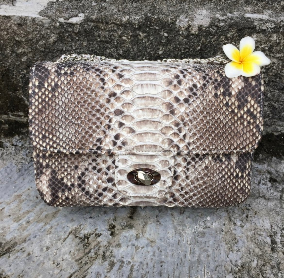 Genuine Python Skin Crossbody Natural Scale Gray Bag — Red