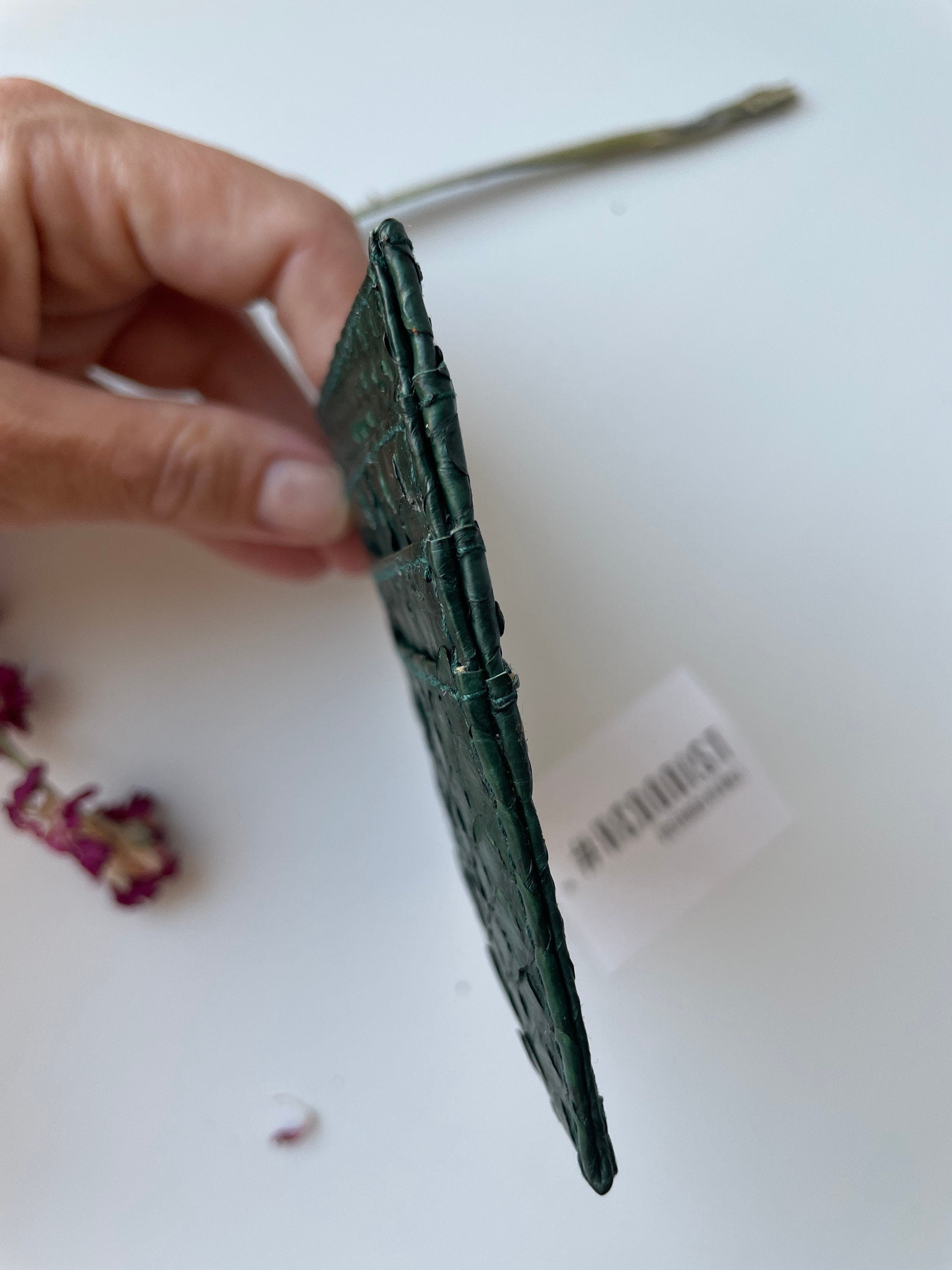 Genuine python skin creditcards holder