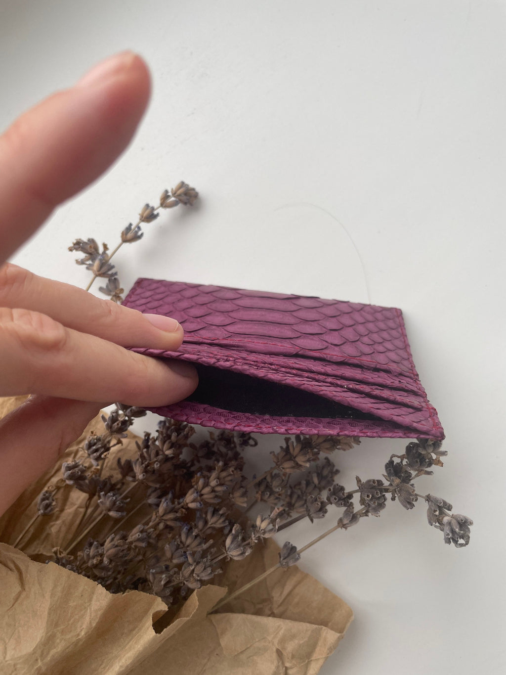 Genuine Python Skin Card Holder — Wine