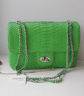 Genuine Python Skin Maxi Crossbody Bag — Green