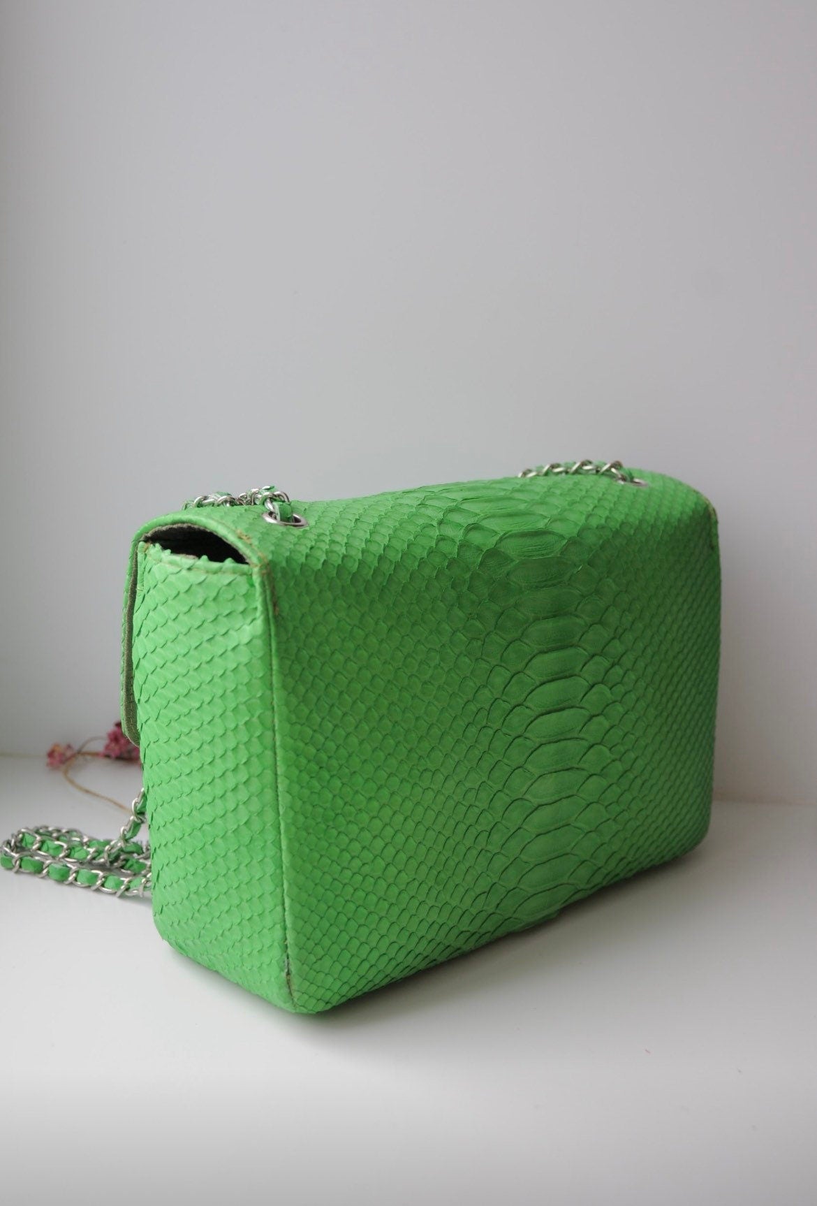 Genuine Python Skin Maxi Crossbody Bag — Green