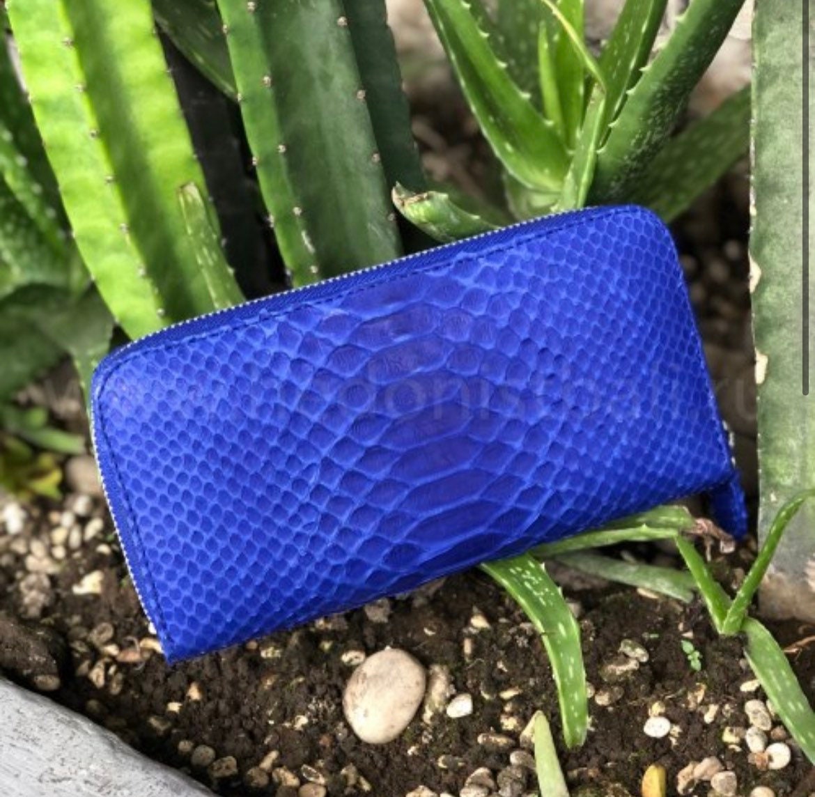 Genuine Python Skin Wallet — Electric Blue