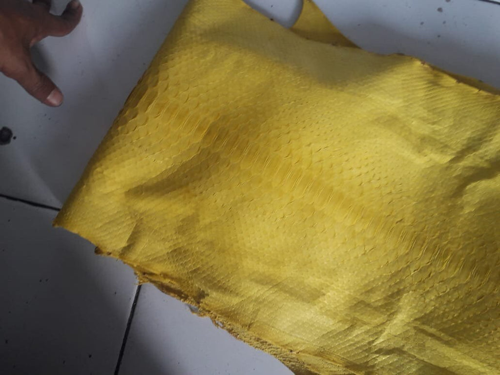 Genuine Python Skin Chain Crossbody Bag — Yellow