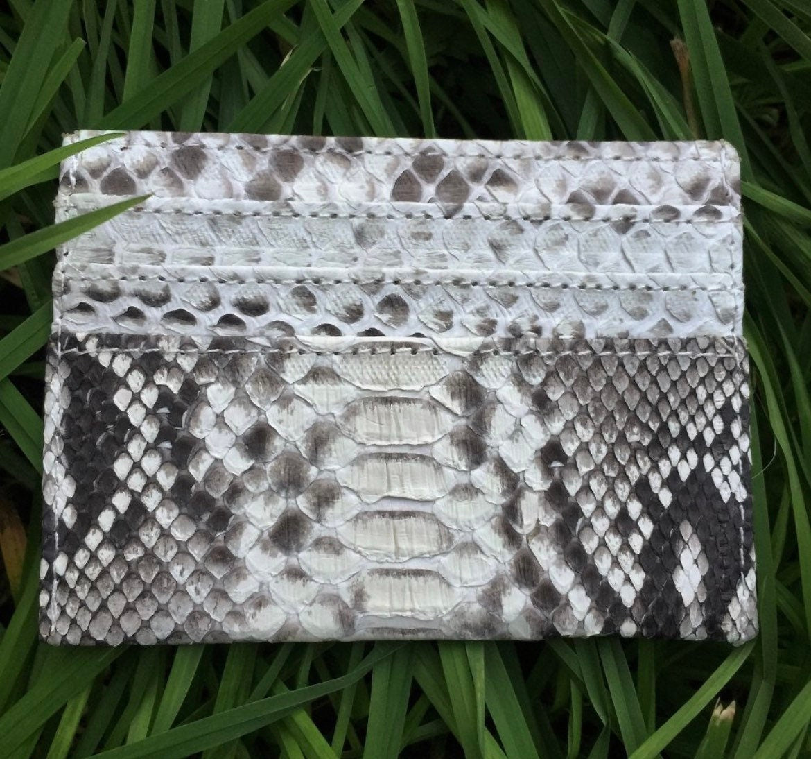 READY TO SHIP Genuine python skin creditcards holder
