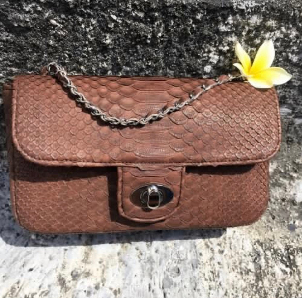 Genuine Python Skin Chain Crossbody Bag — Chocolate Brown
