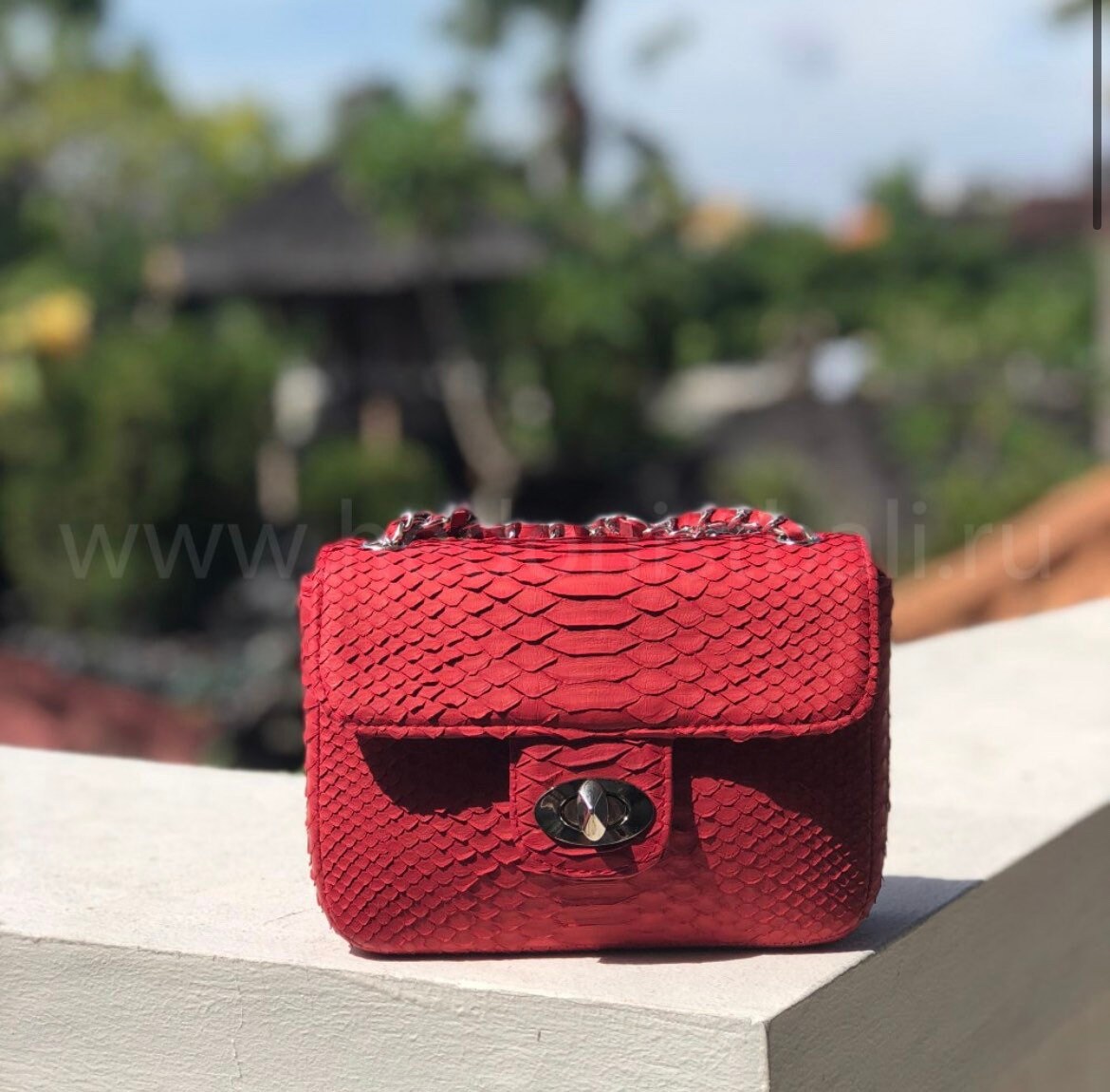Genuine Python Skin Mini Chain Bag — Red
