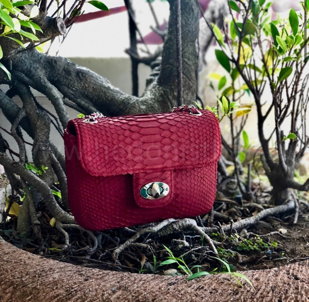 Genuine Python Skin Mini Chain Bag — Red
